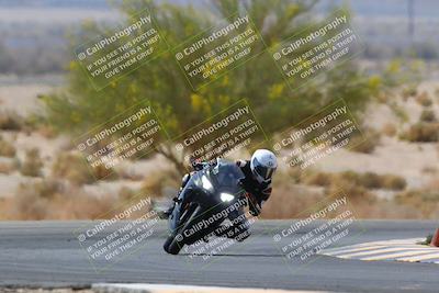 media/Apr-10-2022-SoCal Trackdays (Sun) [[f104b12566]]/Turn 5 Tree of Life (1040am)/